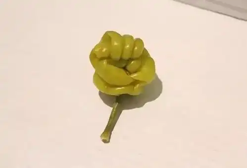  千奇百怪的果蔬