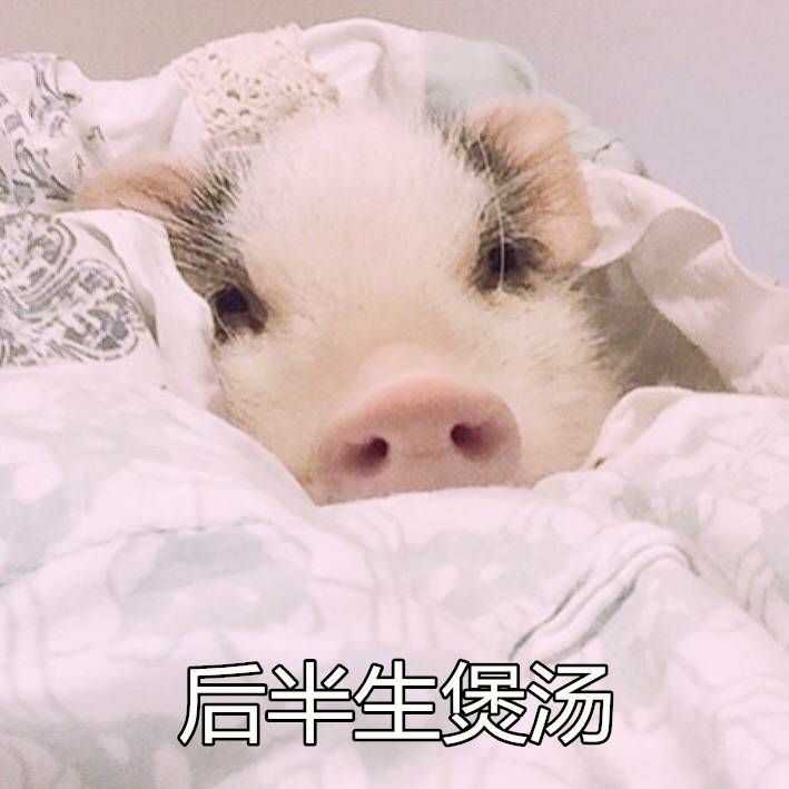  表情怎么样才可以改掉熬夜的习惯表情