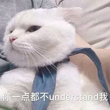 表情包分类沙雕