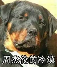  马思纯的微笑明星撞脸动物表情图大全