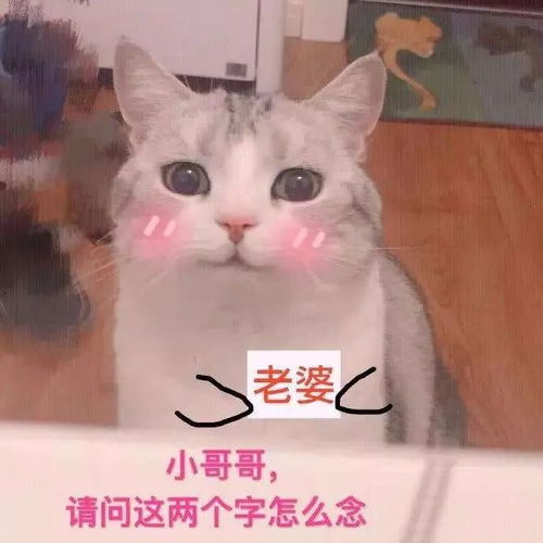  我以为我错过的是复工,没料到差点错过爱情