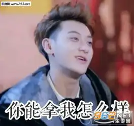  谢晓飞表情包黄子韬谈判官表情包下载乐游网游戏下载