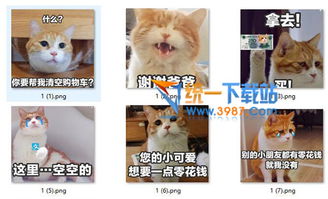  双十一到了表情包下载2017双十一到了表情包免费版旗米拉下载站