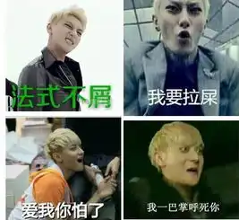  现在聊天不配表情包,我都害怕思想表达不到位