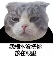  抖音你知道我最开心的是哪天吗表情包