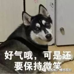  陆良人,去年曲靖城乡居民人均可支配收入是你挣到这数