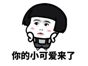  定制公交爱我,你怕了吗
