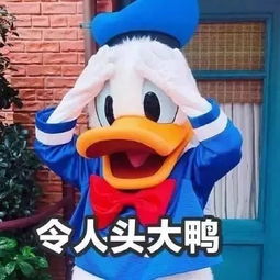  一篇学长学姐看了都会收藏的一卡通使用攻略下