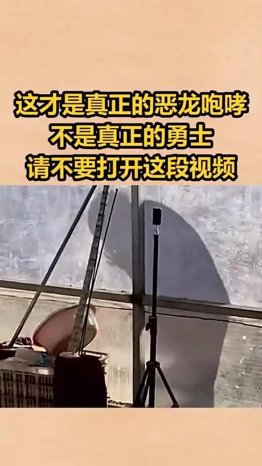  这才是真正的恶龙咆哮,不是真正的勇士,请不要打开这段视频