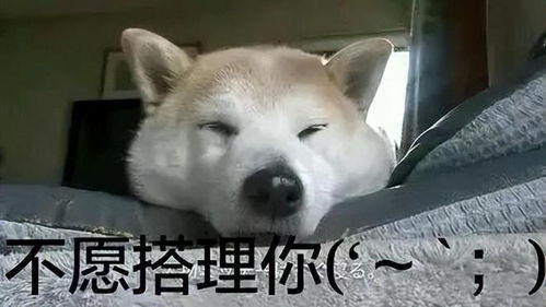  普京震怒,人神共愤,莫斯科恐袭分子却无法处死