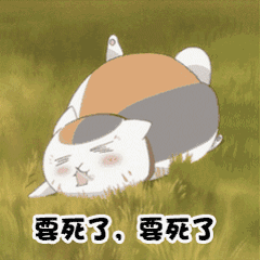 外国斗图表情包gif闪萌