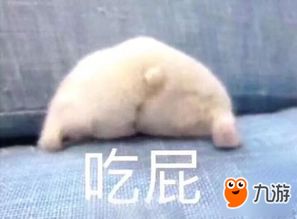  大b神脱口秀妹子买低价手机被骗6.8万,报警回来又被骗8万