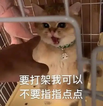 最新热门表情包图片我不该只在旁边看戏,原谅我吧