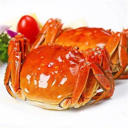  2018年垦利好客山东黄河口美食文化节邀你来吃都福了