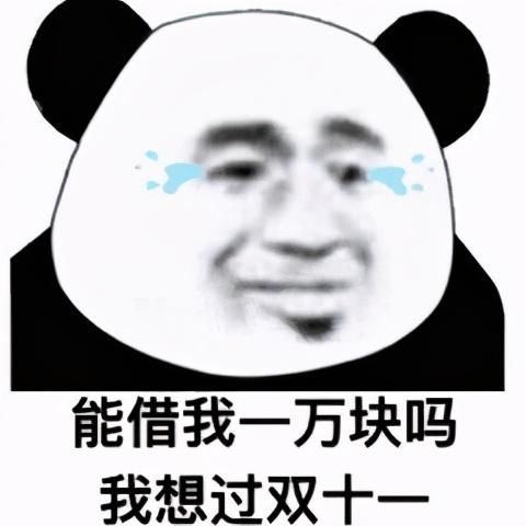  表情包明天就是双十一了,能不能借我一万块,让我过双十一