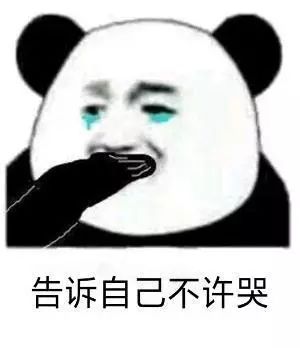  熊猫头沙雕表情包大全