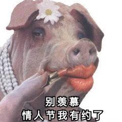 适合情侣用的亲密表情包