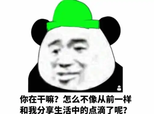  你在干什么,和其他人聊天吗,可以轮到我了吗表情包