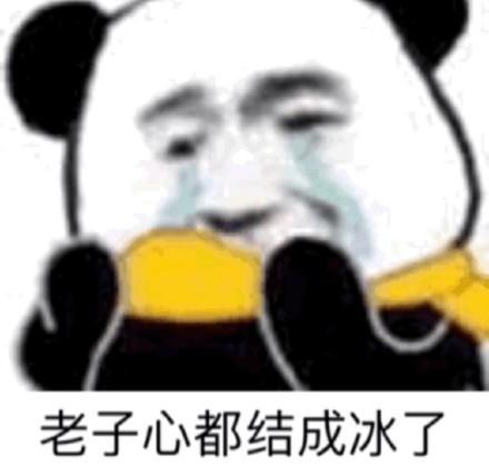 每日表情包更新表情