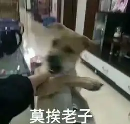  求这个表情包的原图
