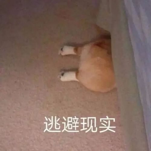  表情包人家就像粘着你呀