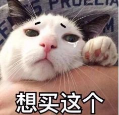 猫爪系列表情包钻石公主