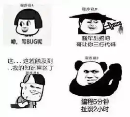 哲学表情包程序员