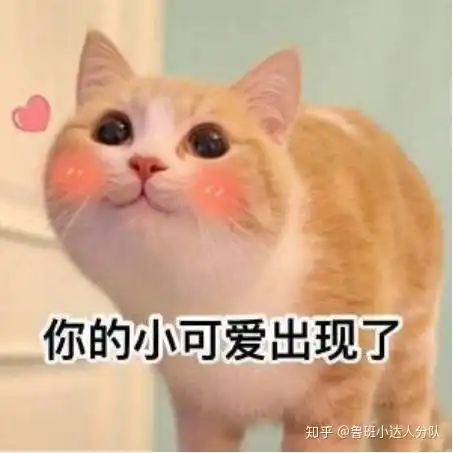 你的小可爱上线表情包可