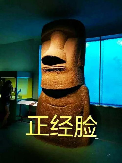  博物馆的一波表情包,聊天必备技能,收藏起来吧