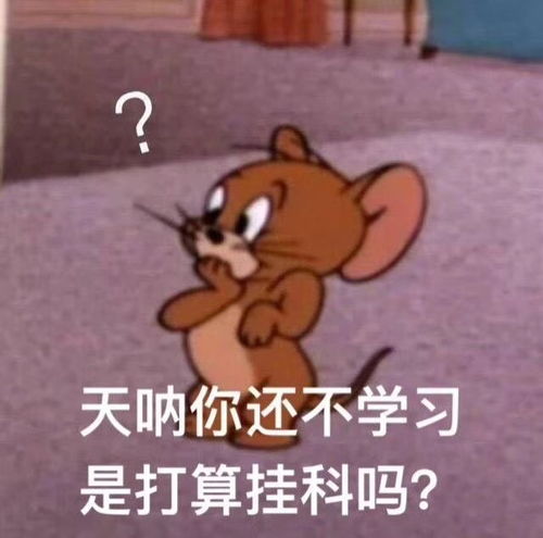  天呐你还不学习,是打算挂科吗杰瑞鼠表情包挂科天呐杰瑞打算表情