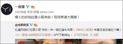 表情包分类拉面