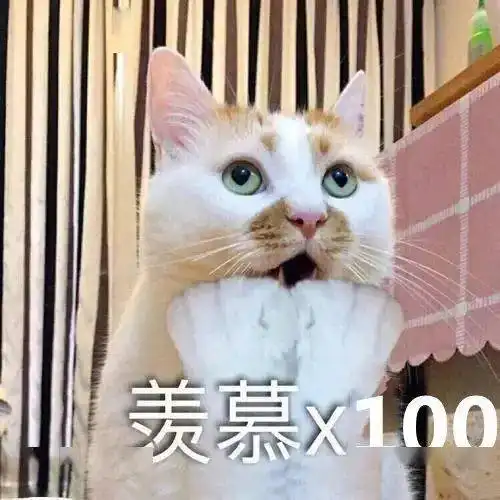 重磅谷城体育场元旦完工航拍大片提前看 重磅谷城体育场元旦完工航拍大片提前看