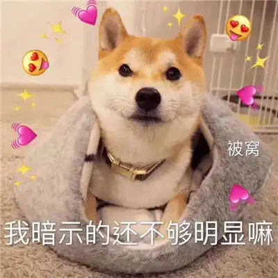  给钱吗狗狗托腮表情包万能回复的聊天表情
