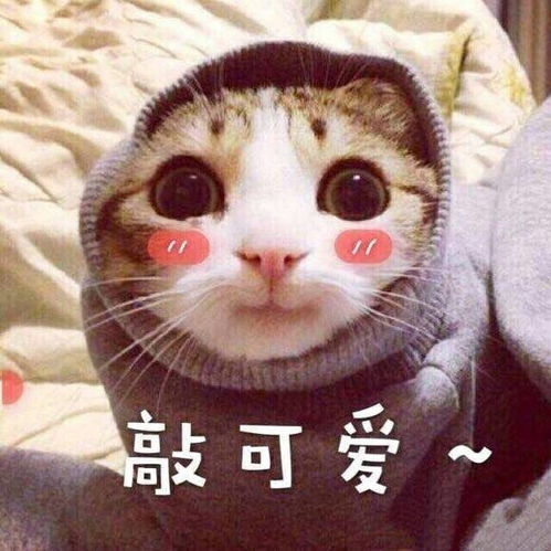  什么伦吧cp名字太难听了