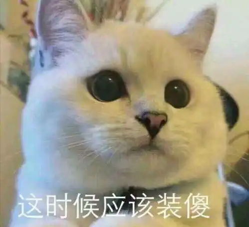  哔哩哔哩专栏