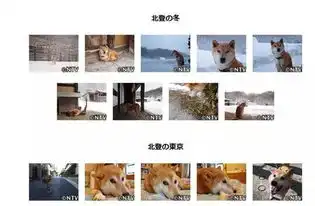  16岁表情包柴犬北登去世日本网民集体哀悼