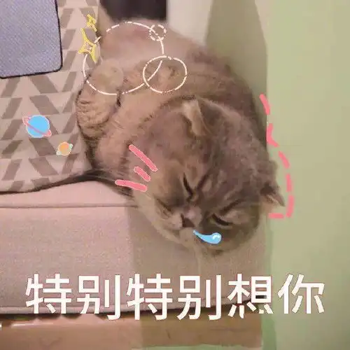  聊天斗图表情包丨甜心我来啦