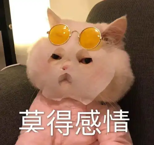  湖大暴雪,长这样o﹏o