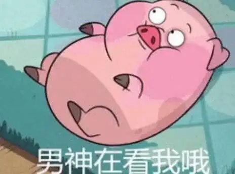 已有视频做激萌表情包猪