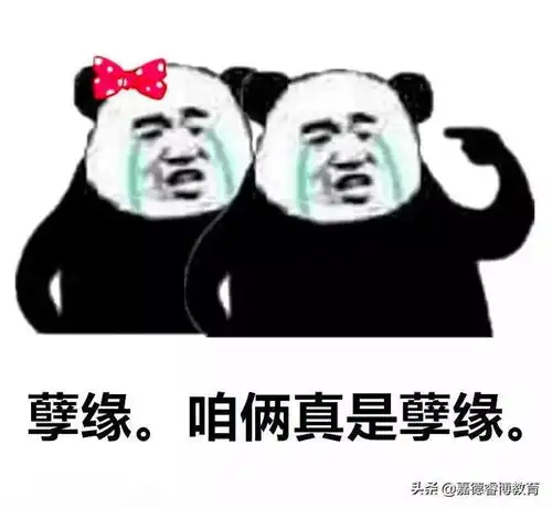  大盘点别光吃王思聪瓜了这些中国明星都是英国毕业的