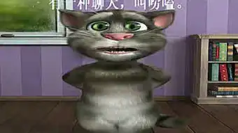  减肥的女人伤不起tom猫