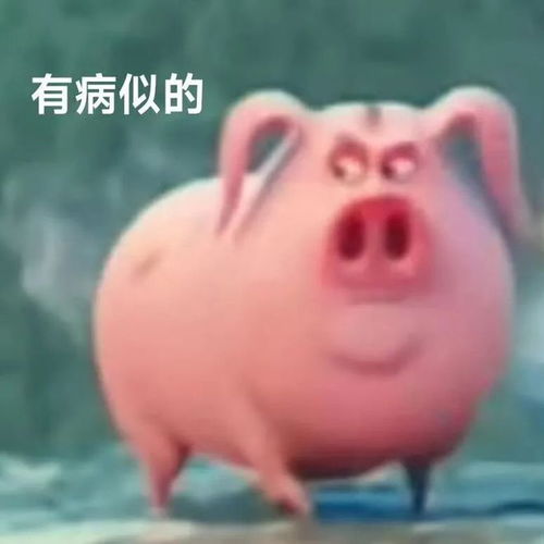  啊啊啊可可爱爱的飞天猪猪表情包来袭,火速囤货