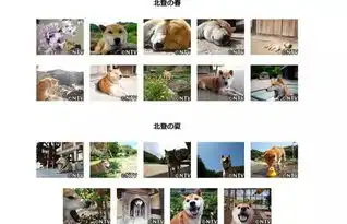  16岁表情包柴犬北登去世网友好狗不分国界