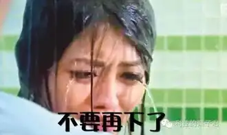  搜狐网