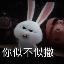 我曾是少年视频直播全集我曾是少年资料大全yy官方  我曾是少年视频直播全集我曾是少年资料大全yy官方
