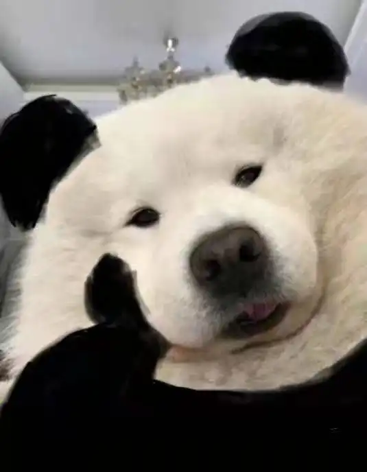  年纪轻轻就什么都要学吗