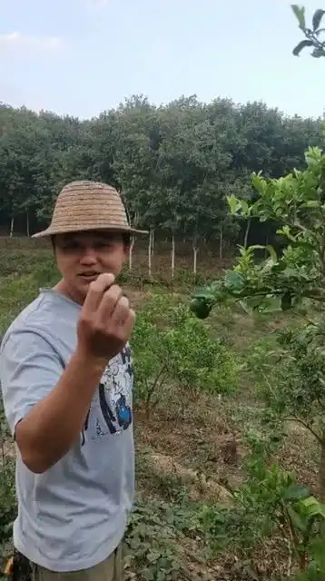 吃柠檬的表情多种多样