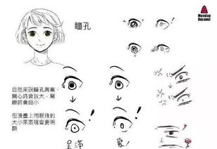  怎么画表情动漫人物表情绘制技巧
