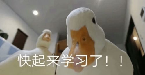  南京这个本科宿舍人手一篇sci,却查无此人