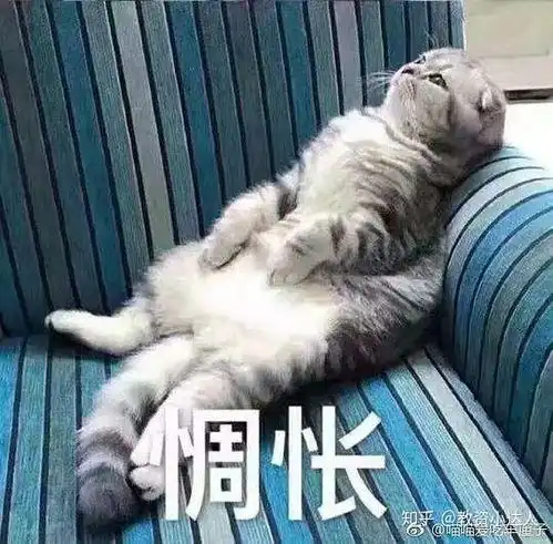 生活的表情包补休